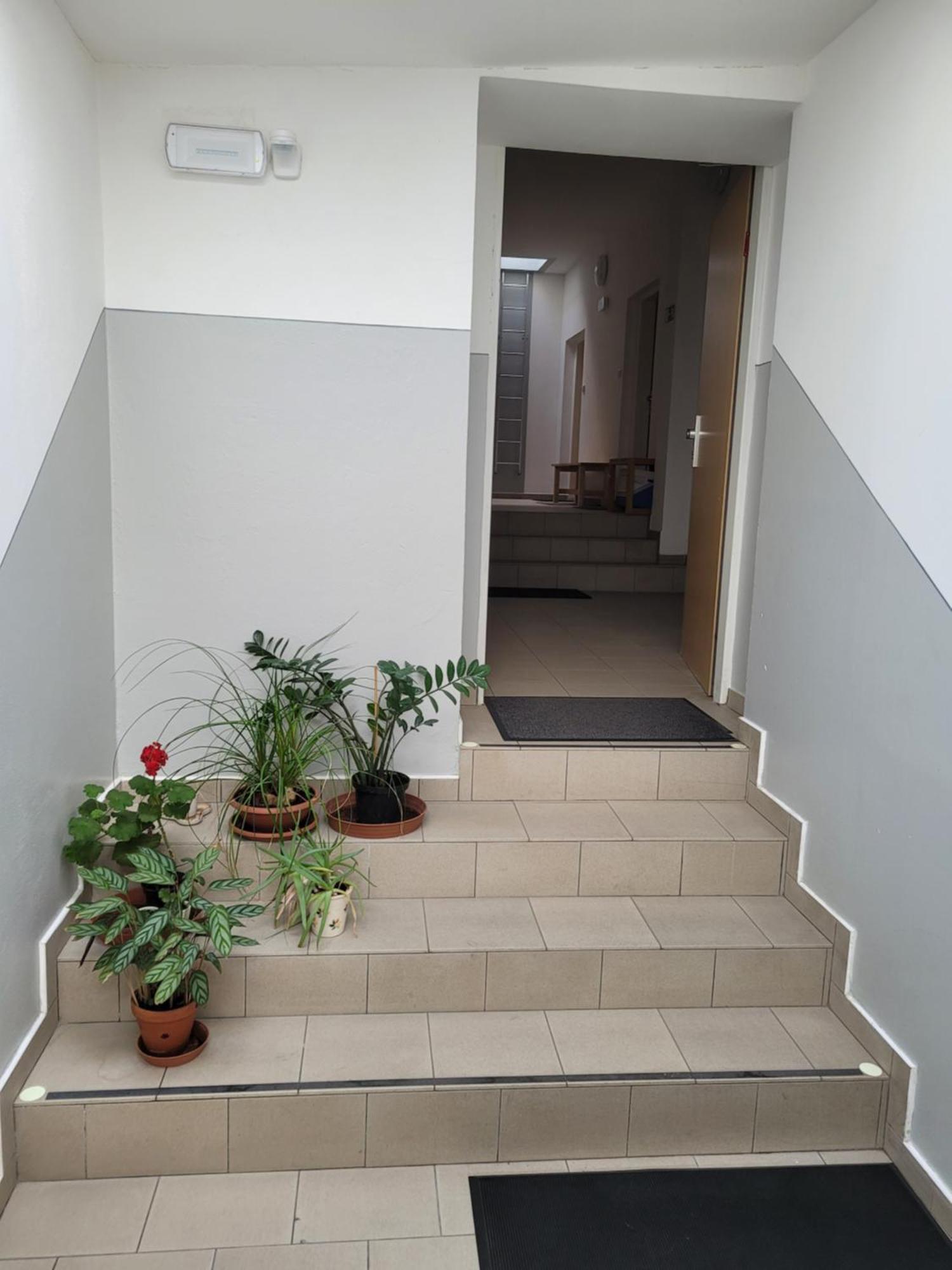 Pod Strechou Apartamento Svoboda nad Úpou Exterior foto